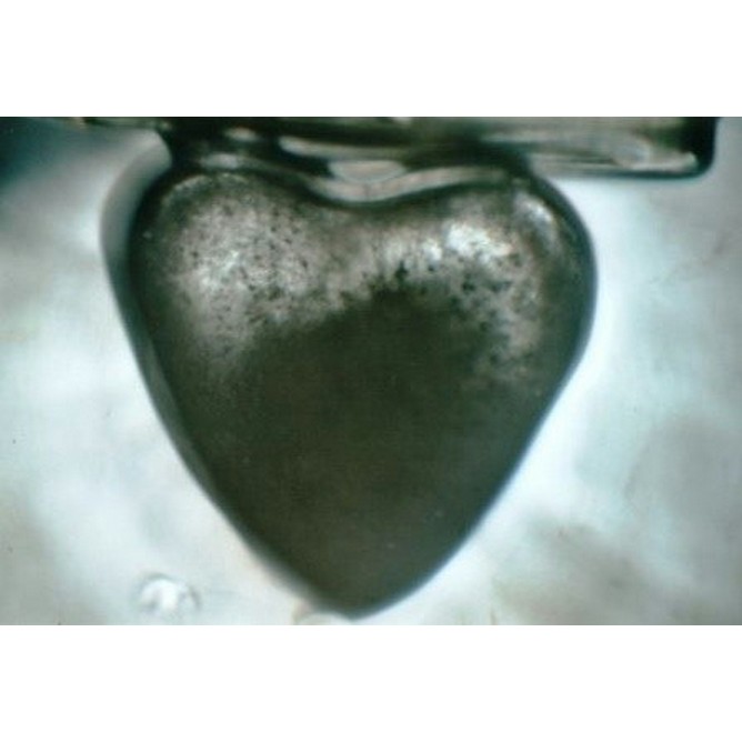 Cuore prezioso gemello